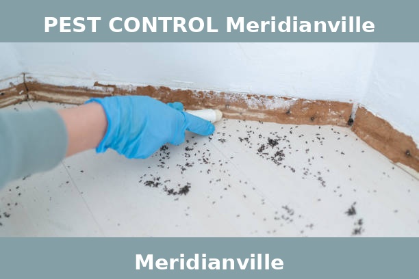 PEST CONTROL Meridianville